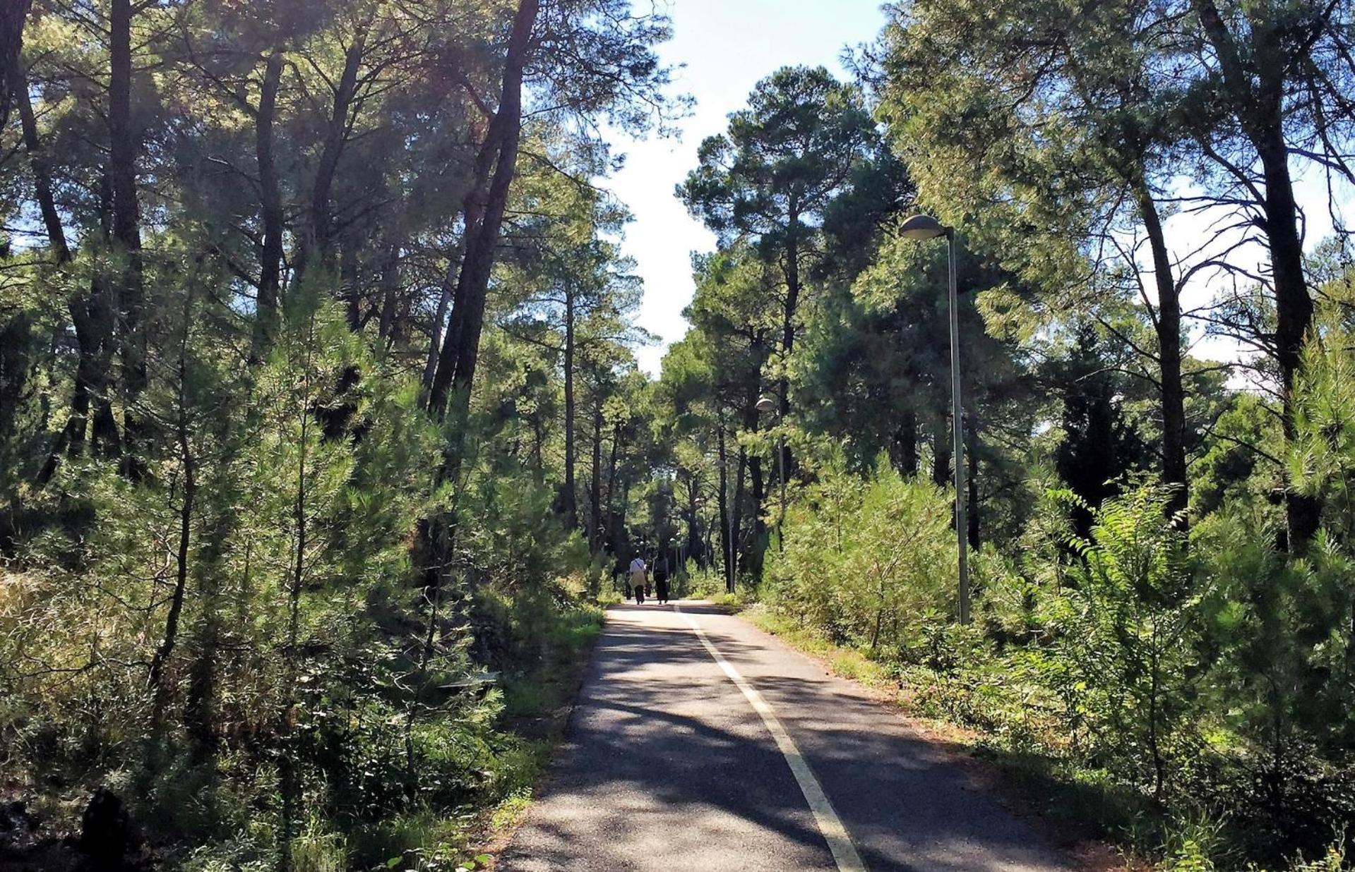 Park Gorica Retreat Center-oasis By Nature * Podgorica